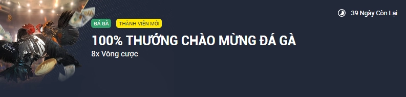 Ưu Đãi 100% Thưởng Chào Mừng Đá Gà 