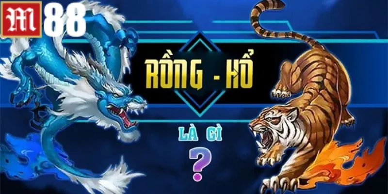 Những hình thức chơi game Rồng Hổ là gì?